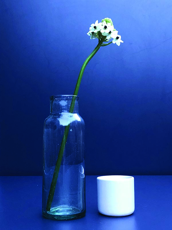 BLEU 129 KUUN carafe en verre avec une tasse en cramic photo fleur 69 EURO 